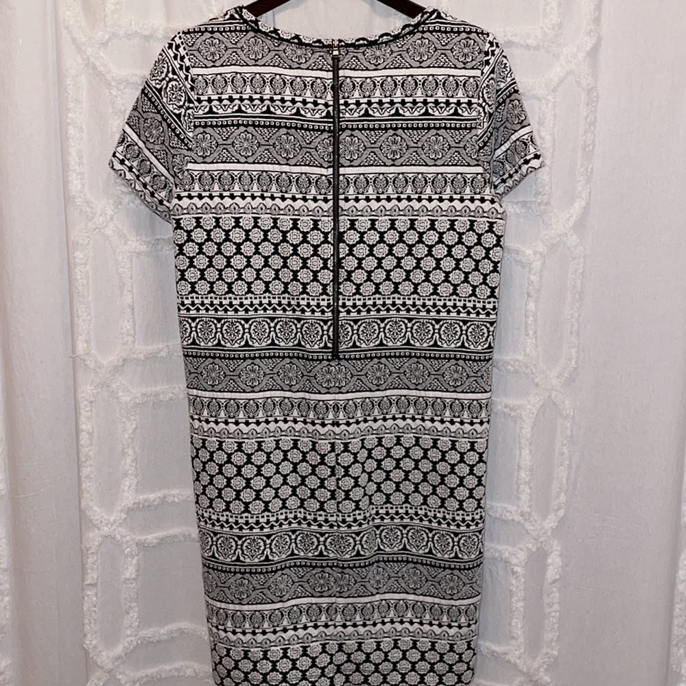 Loft Shift Dress - Picture 7 of 8